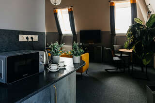 Гостиница Аура Вологда Двухуровневый номер-студия-10