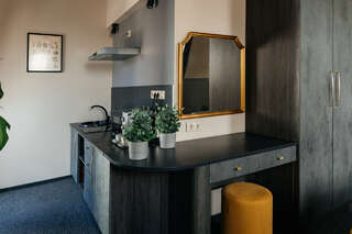 Гостиница Аура Вологда Двухуровневый номер-студия-8